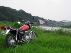 多摩川を流してきました。
